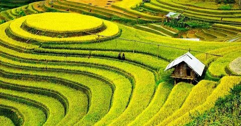 Câu chuyện cậu bé họ Huỳnh ở Uông Bí và hành trình đổi đời cùng Hotspot Matrix_Quỹ đầu tư khởi nghiệp